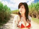 bikini_top blouse cleavage mitsuya_youko open_clothes swimsuit wanibooks_08 rating:Safe score:1 user:nil!