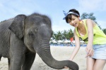 beach bikini_top denim elephant hairband hirano_aya miniskirt skirt swimsuit tank_top ys_web_390 rating:Safe score:1 user:nil!