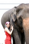 dress elephant glasses headscarf spring_breeze tokito_ami vest rating:Safe score:1 user:nil!