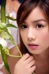 bed flower rola_chen try_me rating:Safe score:0 user:nil!