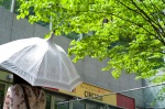 dress kanda_midori umbrella rating:Safe score:0 user:nil!