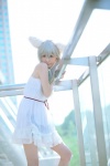 animal_ears bakemonogatari cat_ears cosplay dress hanekawa_tsubasa mikiko silver_hair rating:Safe score:1 user:nil!