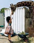 cage camisole circus giraffe kawamura_yukie miss_actress skirt rating:Safe score:0 user:nil!