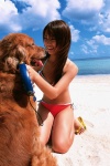 beach bikini dog flipflops kamata_natsumi swimsuit rating:Safe score:0 user:nil!